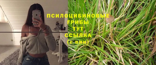 мяу мяу мука Алексеевка