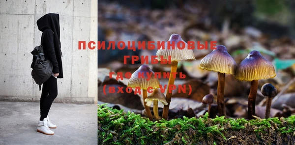 мяу мяу мука Алексеевка